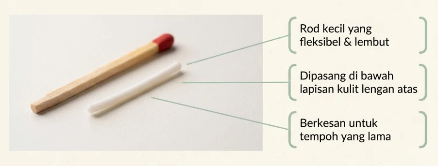 Screenshot 2026 02 24 132542